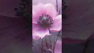 Эту мелодию можно слушать вечно.