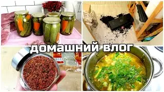 ДОМАШНИЙ ВЛОГ • БОЛТАЛКА • ВКУСНЫЙ УЖИН • ЗАГОТОВКИ НА ЗИМУ • август 2022