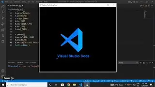 How I made Visual Studio Logo using Python Turtle