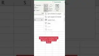 How to sort revenue from largest to smallest in Excel! 