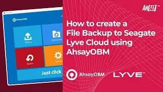 How to create a file backup to Seagate Lyve cloud using AhsayOBM?