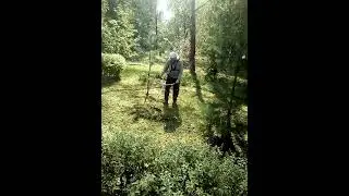 VID 20210828 WA0003