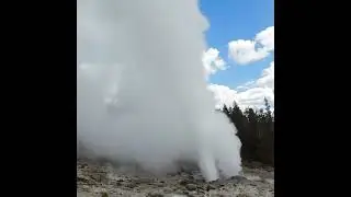 Steamboat Geyser Erupting! 