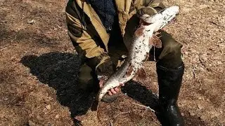 Щука сломала спиннинг
Распаковка катушки mifine troker 2000f
Неожиданный обзор  ЩУКА ЛОМАЕТ СПИННИНГ