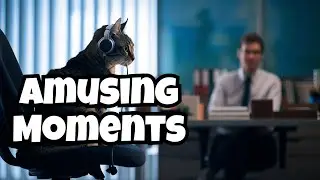 Are You Ready For The FUNNIEST CAT Videos Ever?