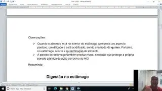 Fisiologia da digestão  Parte 2