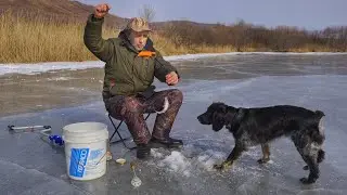 Рыбалка на Зимнего ГОЛЬЯНА.