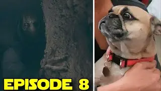 Star Wars The Acolyte Episode 8 Reaction Review | Darth Plagueis and Yoda