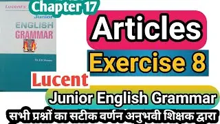 Exercise 8 articles | lucent grammar