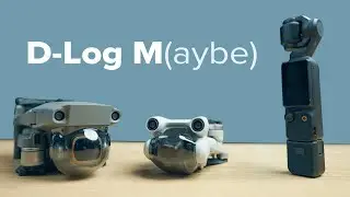 Should you use D-Log M (DLOG M)