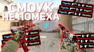 СМОУК НЕ ПОМЕХА (Канал Шока, ДОГИ, Renatko) (CS:GO МОНТАЖ)