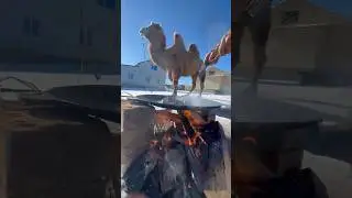 Стейк на свежем воздухе в масле🔥 
