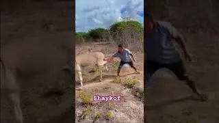 For every action there is a reaction