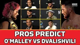 UFC 306: Pros Predict Sean O'Malley vs. Merab Dvalishvili | MMA Fighting