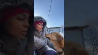 Любовь к собакам - не имеет границ 😅