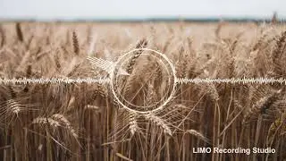 Slynk - Doctor Momentum