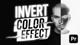 How to Use to the Invert Effect in Premiere Pro