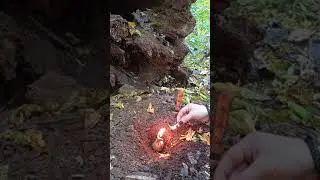 Ритуал - Обряд . От Бесплодия. Снимаем Бесплодие . На Беременность.