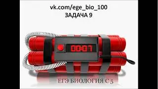 Разбор ЕГЭ по биологии С 5 .Задание 10. Подготовка к ЕГЭ с учителем Денисенко Л.А.