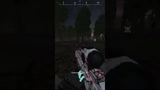 STALCRAFT HK417 жива!