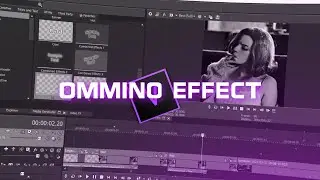 omino diffusion sony vegas TUTORIAL
