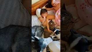 Моя вселенная.Мои детки❤️