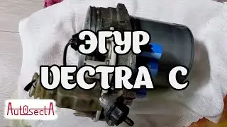 Как перебрать ЭГУР (конусный) вектра ц/сигнум. Замена сальников и подшипников.