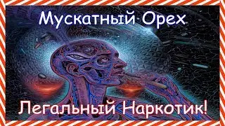 Мускатный Орех [Trip Report]