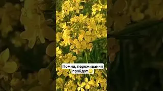 Переживания пройдут 😌