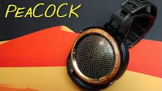 🟥The Sendy Peacock is a godsend