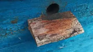 Где летают бродячие рои?1часть