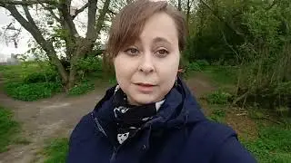 Бадан/ монгольский чай растение -защитник ☝️