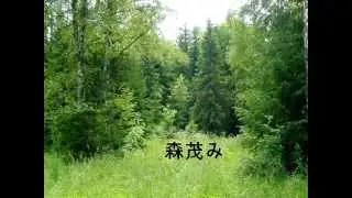 Пародия на рекламу [1]