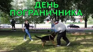 Немецкие Овчарки КСС КАСКАД. Показательное выступление на День Пограничника. German Shepherds.