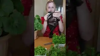 для рассады и пересадки цветов