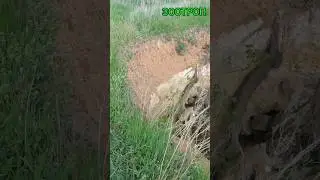 Земля уходит из под ног! Провалы в катакомбы. Пещерные дома. Шкодова гора Одесса. Уникально 