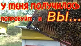 ИСПРАВЛЕНИЕ 