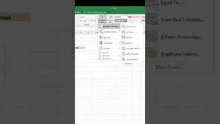 Conditional Formatting - Show Duplicated items 