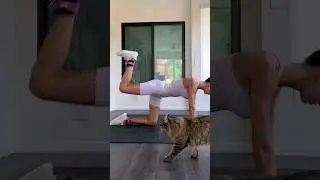 Не проходи мимо 