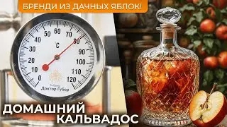 Яблочный бренди | Рецепт домашнего кальвадоса