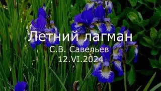 С.В. Савельев - Летний лагман