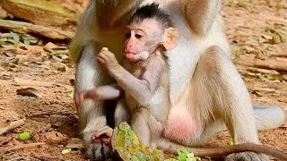 Lovely baby Cinn look at food with feel happy and want to save it for mom