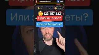 Hamster Kombat: прибыль в час или монеты? ОФИЦИАЛЬНЫЙ ОТВЕТ от Хамстер 
