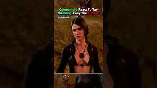Trying to Throw Away the Artefact. All Origin Companion Reactions in Baldur's Gate 3