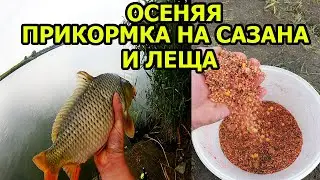 РАБОЧАЯ ПРИКОРМКА СВОИМИ РУКАМИ,РЫБАЛКА ОСЕНЬЮ,ПРИКОРМКА ДЛЯ ХОЛОДНОЙ ВОДЫ,лещ осенью,КАРАСЬ ОСЕНЬЮ