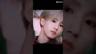 #capcutedit #straykids #hanjisung