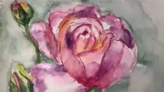 Как научиться рисовать розу акварелью? How to learn how to draw a rose in watercolor?