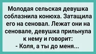 Сельская Девушка Затащила Конюха на Сеновал! Сборник Свежих Смешных Жизненных Анекдотов!