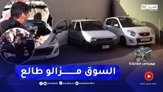 برنامج toutes options: أسعار السيارات المستعملة لهذا الأسبوع من سوق بوقرة