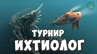 Розыгрыш премиумов Турнир 